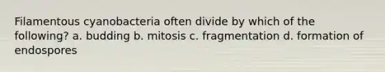 Filamentous cyanobacteria often divide by which of the following? a. budding b. mitosis c. fragmentation d. formation of endospores