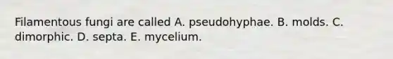 Filamentous fungi are called A. pseudohyphae. B. molds. C. dimorphic. D. septa. E. mycelium.