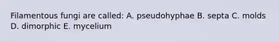 Filamentous fungi are called: A. pseudohyphae B. septa C. molds D. dimorphic E. mycelium
