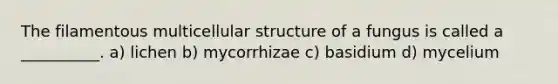 The filamentous multicellular structure of a fungus is called a __________. a) lichen b) mycorrhizae c) basidium d) mycelium