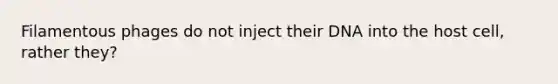 Filamentous phages do not inject their DNA into the host cell, rather they?