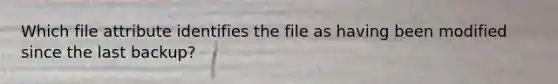 Which file attribute identifies the file as having been modified since the last backup?