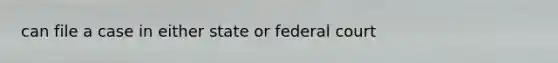 can file a case in either state or federal court