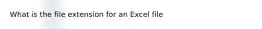 What is the file extension for an Excel file