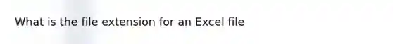 What is the file extension for an Excel file