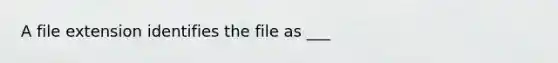 A file extension identifies the file as ___