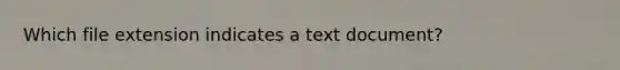 Which file extension indicates a text document?