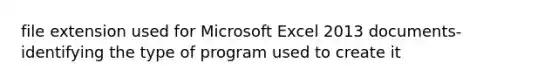 file extension used for Microsoft Excel 2013 documents-identifying the type of program used to create it