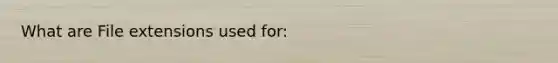 What are File extensions used for: