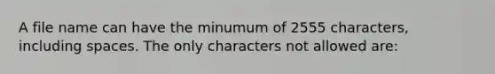 A file name can have the minumum of 2555 characters, including spaces. The only characters not allowed are: