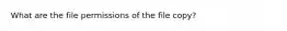 What are the file permissions of the file copy?