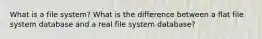 What is a file system? What is the difference between a flat file system database and a real file system database?