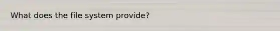 What does the file system provide?