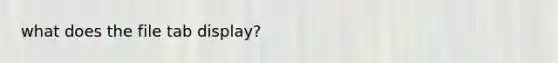what does the file tab display?