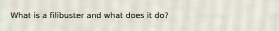 What is a filibuster and what does it do?