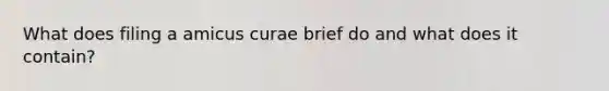 What does filing a amicus curae brief do and what does it contain?