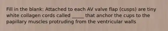 Fill in the blank: Attached to each AV valve flap (cusps) are tiny white collagen cords called _____ that anchor the cups to the papillary muscles protruding from the ventricular walls