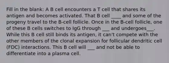 Fill in the blank: A B cell encounters a T cell that shares its antigen and becomes activated. That B cell ____ and some of the progeny travel to the B-cell follicle. Once in the B-cell follicle, one of these B cells switches to IgG through ___ and undergoes___. While this B cell still binds its antigen, it can't compete with the other members of the clonal expansion for follicular dendritic cell (FDC) interactions. This B cell will ___ and not be able to differentiate into a plasma cell.