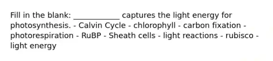 Fill in the blank: ____________ captures the light energy for photosynthesis. - Calvin Cycle - chlorophyll - carbon fixation - photorespiration - RuBP - Sheath cells - light reactions - rubisco - light energy