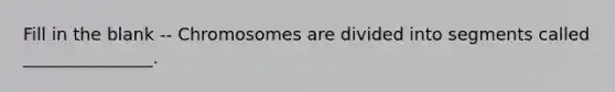 Fill in the blank -- Chromosomes are divided into segments called _______________.