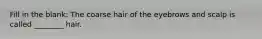 Fill in the blank: The coarse hair of the eyebrows and scalp is called ________ hair.