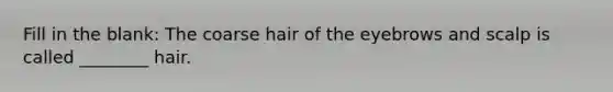 Fill in the blank: The coarse hair of the eyebrows and scalp is called ________ hair.