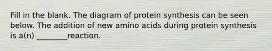 Fill in the blank. The diagram of protein synthesis can be seen below. The addition of new amino acids during protein synthesis is a(n) ________reaction.