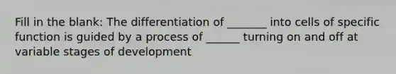 Fill in the blank: The differentiation of _______ into cells of specific function is guided by a process of ______ turning on and off at variable stages of development