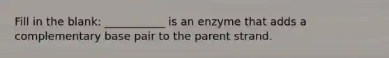 Fill in the blank: ___________ is an enzyme that adds a complementary base pair to the parent strand.