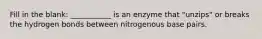 Fill in the blank: ___________ is an enzyme that "unzips" or breaks the hydrogen bonds between nitrogenous base pairs.