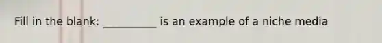 Fill in the blank: __________ is an example of a niche media