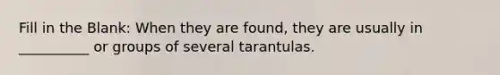 Fill in the Blank: When they are found, they are usually in __________ or groups of several tarantulas.