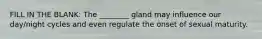 FILL IN THE BLANK: The ________ gland may influence our day/night cycles and even regulate the onset of sexual maturity.