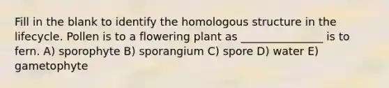 Fill in the blank to identify the homologous structure in the lifecycle. Pollen is to a flowering plant as _______________ is to fern. A) sporophyte B) sporangium C) spore D) water E) gametophyte