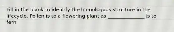 Fill in the blank to identify the homologous structure in the lifecycle. Pollen is to a flowering plant as _______________ is to fern.