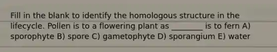 Fill in the blank to identify the homologous structure in the lifecycle. Pollen is to a flowering plant as ________ is to fern A) sporophyte B) spore C) gametophyte D) sporangium E) water