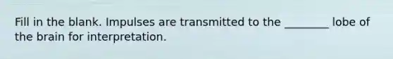 Fill in the blank. Impulses are transmitted to the ________ lobe of the brain for interpretation.