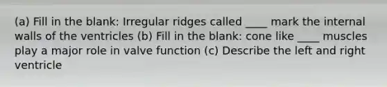 (a) Fill in the blank: Irregular ridges called ____ mark the internal walls of the ventricles (b) Fill in the blank: cone like ____ muscles play a major role in valve function (c) Describe the left and right ventricle