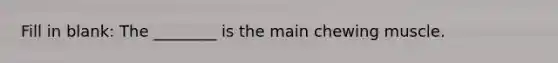 Fill in blank: The ________ is the main chewing muscle.