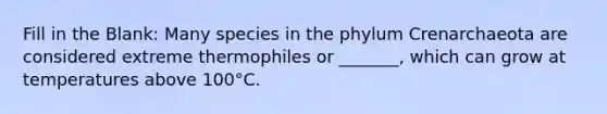 Fill in the Blank: Many species in the phylum Crenarchaeota are considered extreme thermophiles or _______, which can grow at temperatures above 100°C.