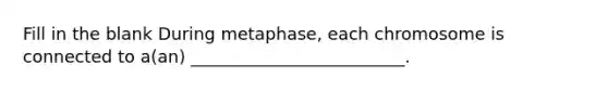 Fill in the blank During metaphase, each chromosome is connected to a(an) _________________________.