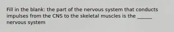 Fill in the blank: the part of the nervous system that conducts impulses from the CNS to the skeletal muscles is the ______ nervous system