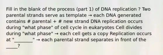 Fill in the blank of the process (part 1) of DNA replication ? Two parental strands serve as template → each DNA generated contains # parental + # new strand DNA replication occurs during "what phase" of cell cycle in eukaryotes Cell divides during "what phase" → each cell gets a copy Replication occurs at "________" → each parental strand separates in front of the _____?