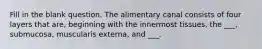 Fill in the blank question. The alimentary canal consists of four layers that are, beginning with the innermost tissues, the ___, submucosa, muscularis externa, and ___.