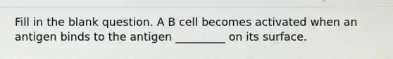 Fill in the blank question. A B cell becomes activated when an antigen binds to the antigen _________ on its surface.