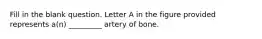 Fill in the blank question. Letter A in the figure provided represents a(n) _________ artery of bone.