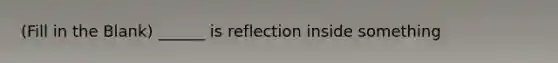(Fill in the Blank) ______ is reflection inside something