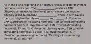 Fill in the blank regarding the negative feedback loop for thyroid hormone production: The ______________ produces TRH (Thyrotropin-Releasing Hormone) which causes the anterior pituitary gland to produce _______________ which in turn causes the thyroid gland to release _______ and _______. A. Thalamus, CRH (Corticotropin-releasing hormone) TSH (thyroid-stimulating hormone) and T4 B. Hypothalamus, TSH (thyroid-stimulating hormone), T3 and T4 C. Posterior pituitary gland, TSH (thyroid-stimulating hormone), T3 and T4 D. Hypothalamus, CRH (Corticotropin-releasing hormone), TSH (thyroid-stimulating hormone), T3 and TSH