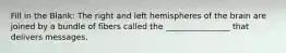 Fill in the Blank: The right and left hemispheres of the brain are joined by a bundle of fibers called the ________________ that delivers messages.