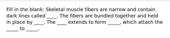 Fill in the blank: Skeletal muscle fibers are narrow and contain dark lines called ____. The fibers are bundled together and held in place by ____. The ____ extends to form _____, which attach the _____ to _____.